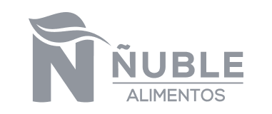 Logo-ñuble