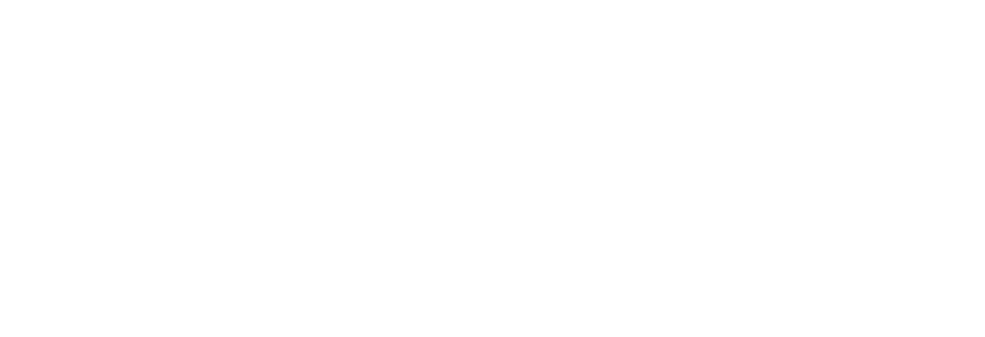 rindegastos final
